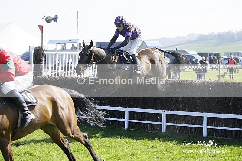 PtP 190322 288 - Wilton Hunt PtP Milborne St Andrew 19/03/22