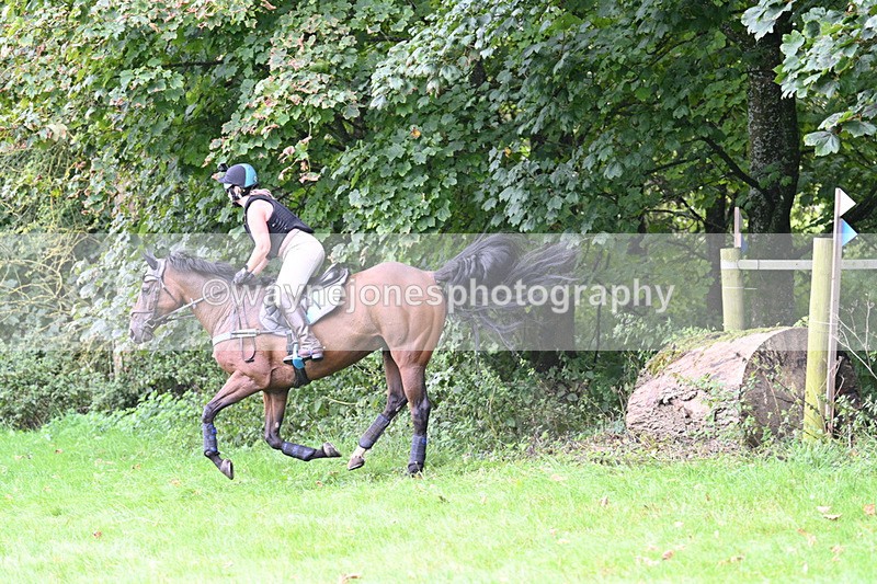 WJ7_8143 - Time 14:11 to 14:30