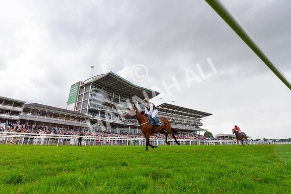 150624-D-Macmillan Ride Of Their Lives-8418 - 12.30pm Macmillan Ride of Their Lives