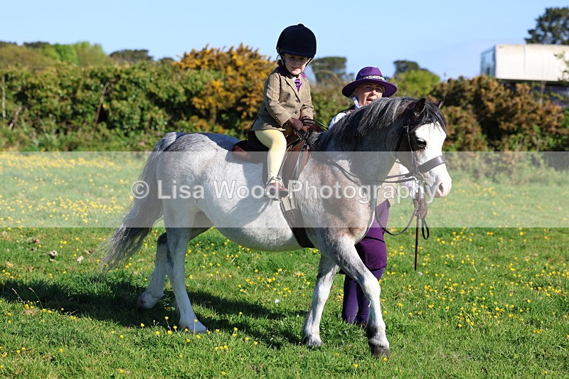 3E7A8497 - Class 2: Lead rein