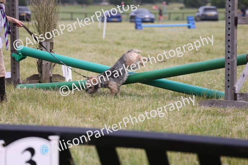 20260614-4374 - Class 25 - Horse and Hound Jumping