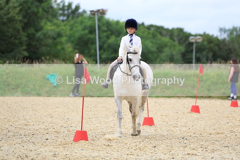 3E7A9401 - Walk trot run