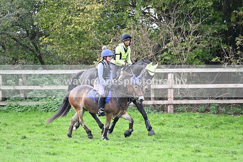 WJ7_8477 - Time 12:12 to 12:37