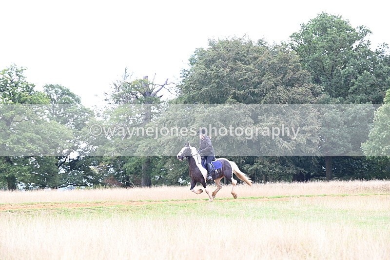 DSC_9522 - Time at Statue 15:11 to 15:58