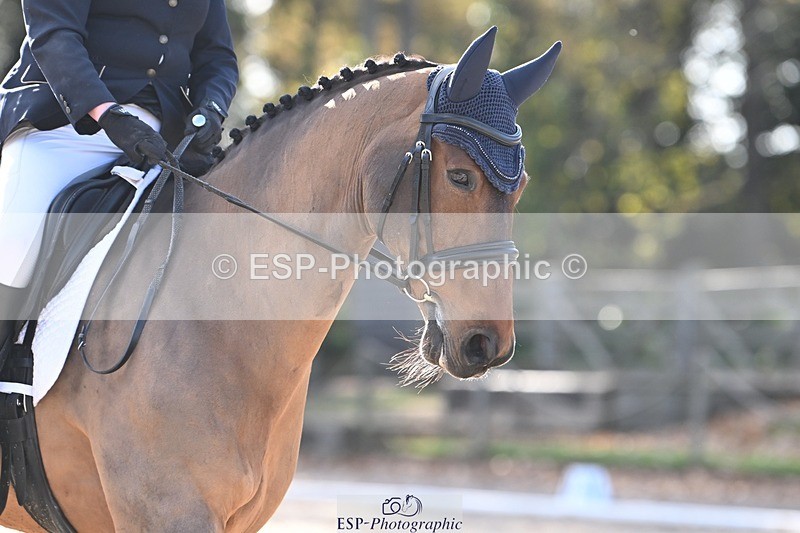 231110-123650-00730 - Cls 3 Novice 22