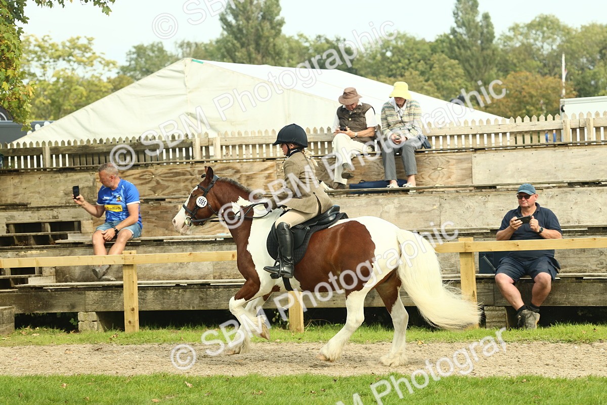 SBM_68246 - S58 - Mini Show Cob Ridden