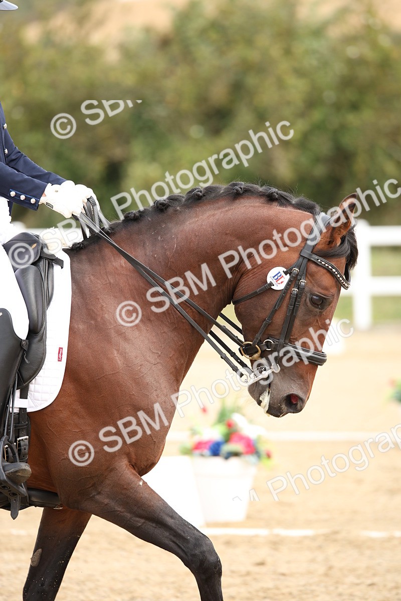 SBM_019716 - Class 22 - Medium 73 - 10.36 11.32