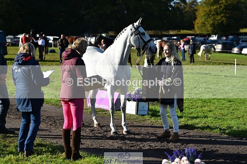 231022-101724-22380 - 488-JEMIMA.J.RAY-Liberty.Turnbull-TrotUp+SJ