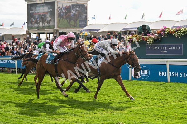 210825-Race 5-Charlottes Web-5051 - Race 5 4.10pm British EBF & Sir Henry Cecil Galtres Stakes