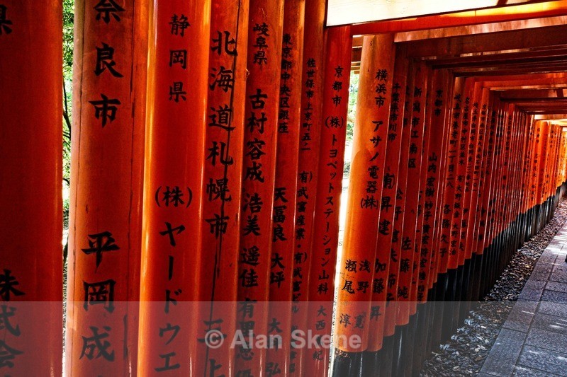 DSC05408 - Kyoto
