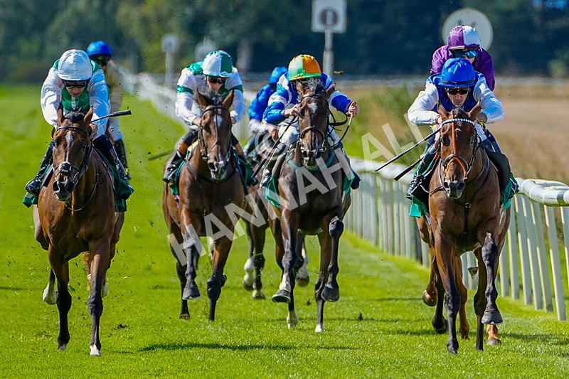 050926-Race 1-Prince Kameo-2 - Race 1 1.35pm Personal Touches Day Of Elegance Nursery Handicap