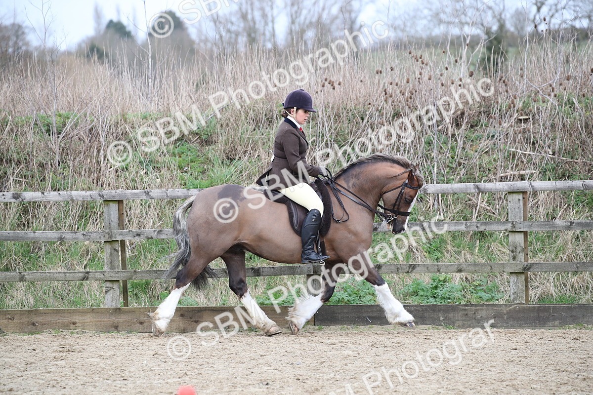SBM_007164 - Class 10-13 - RIHS Small Large Breeds