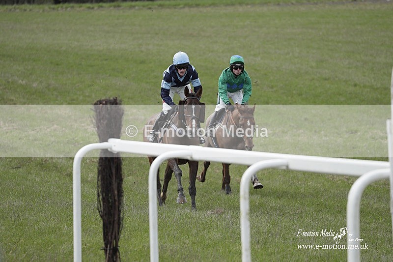 PtP 180323 591 - Shelfield Park Races with Croome & West Warwickshire Hunt  18/03/23