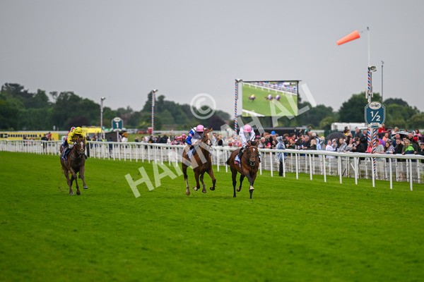 150624-Race 3-Klondike-7050 - Race 3 3.00pm Sky Bet Race To The Ebor Grand Cup Stakes