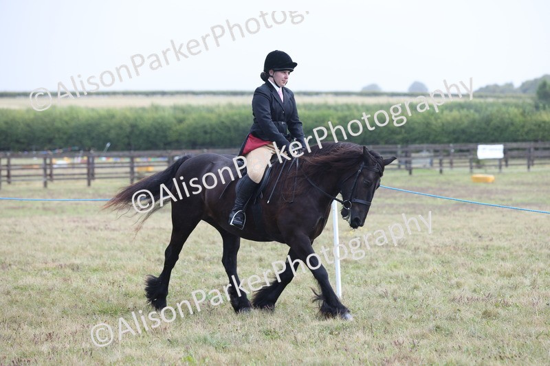 20250831-2423 - Class 16 - Family Pony