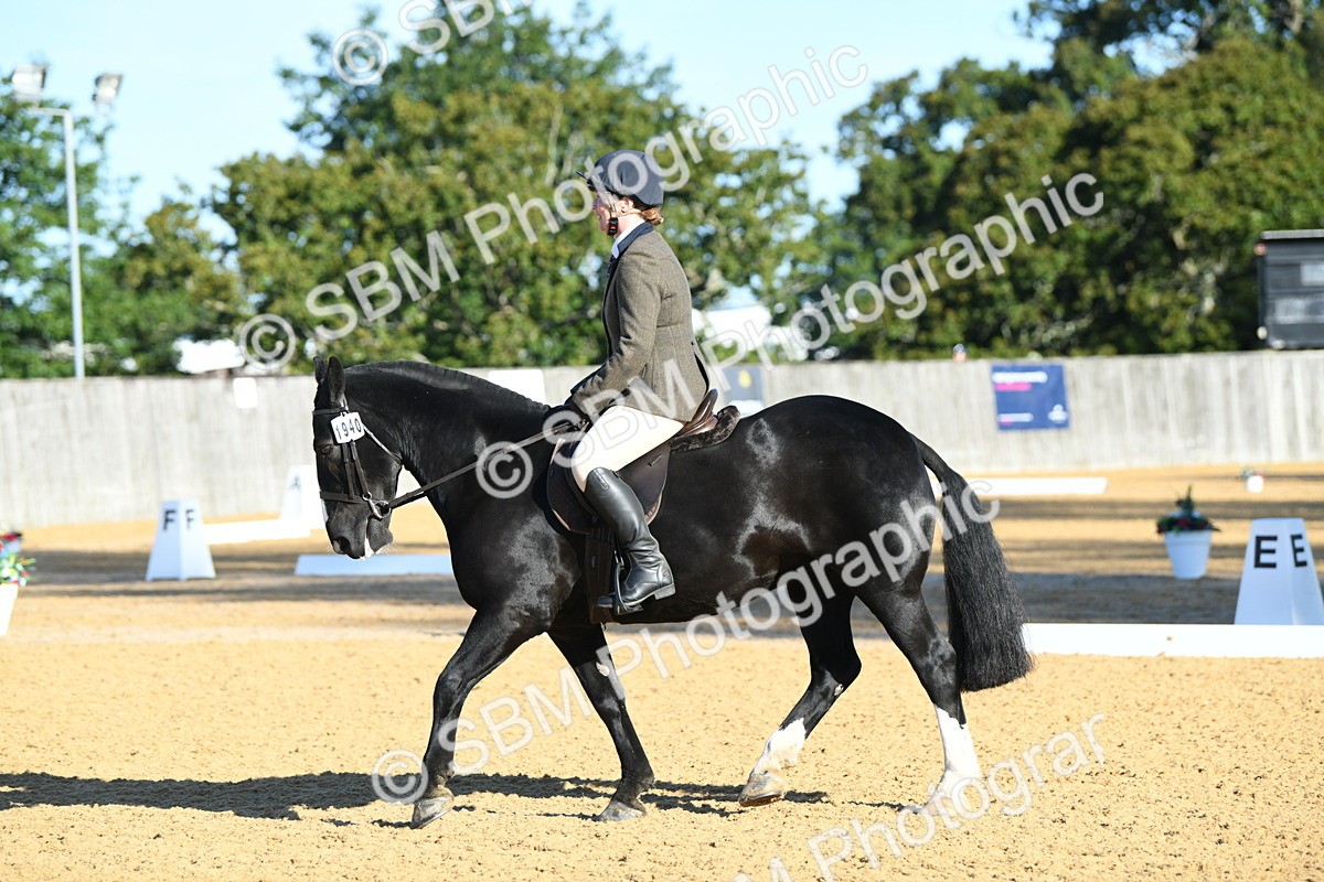 SBM_16089 - D4 - Small Tour Championship - Intro B