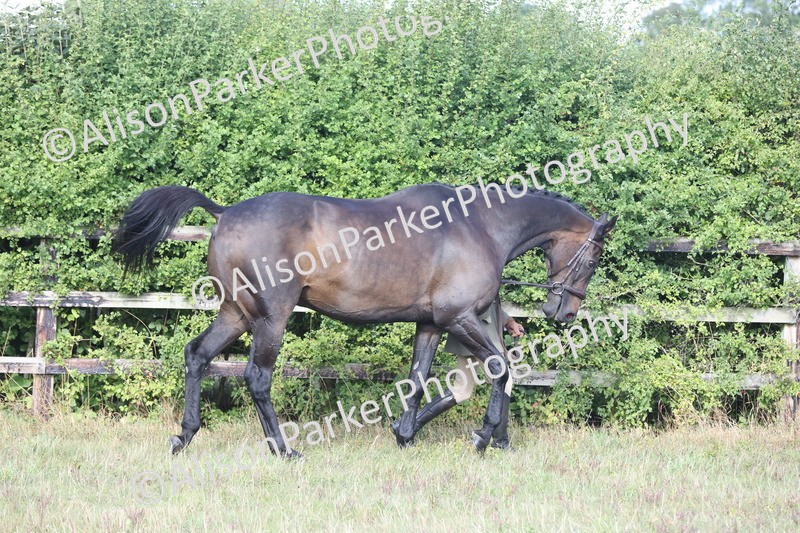 20250831-1334 - Class 21 - Inhand Open