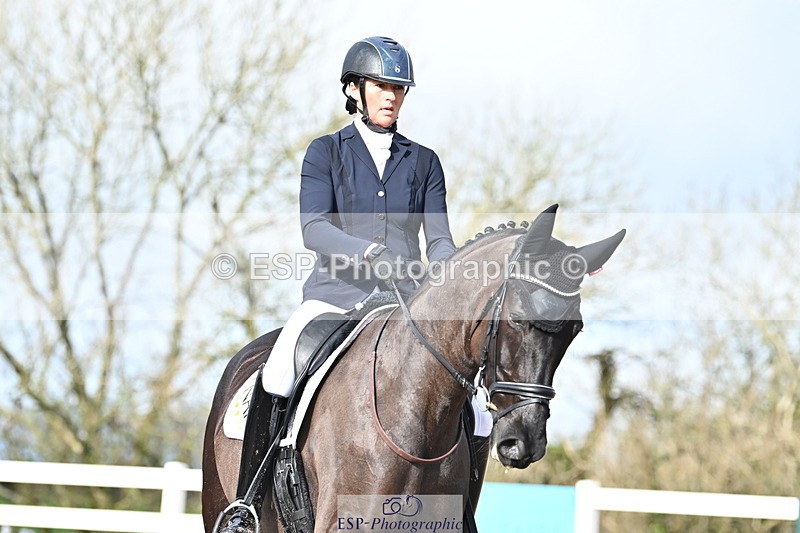 240218A-115612-06911 - 204-Elder.Klatzko-Dynasty.Hit