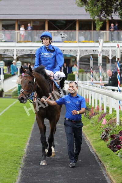 yr11062022r7-19 - Race 7 4.50pm The Ice Co Supporting Macmillan Stakes
