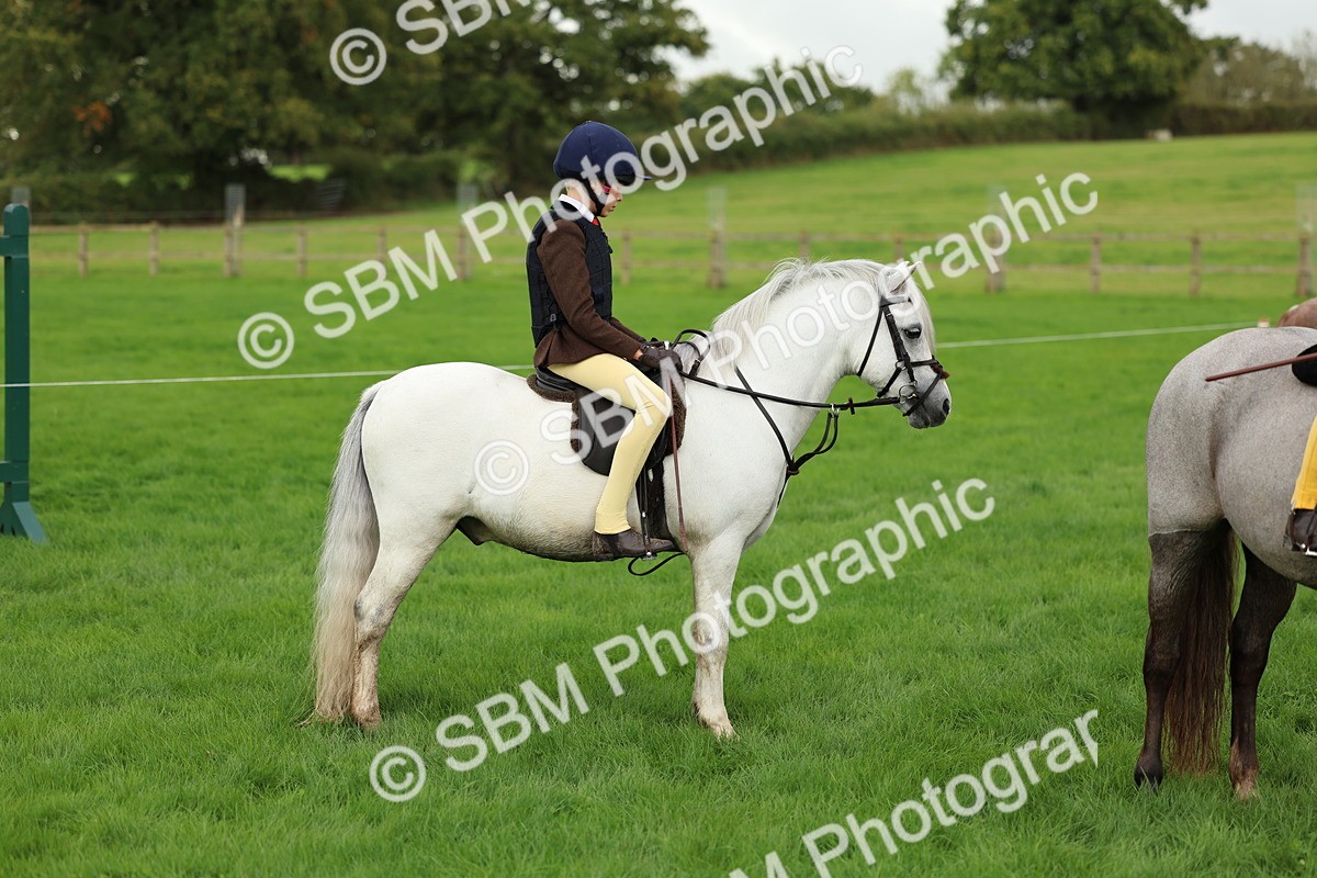 SBM_41875 - S32 - Mountain & Moorland Working Hunter Pony