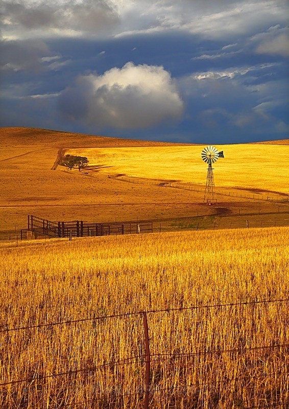 BurraStorm3-1369 - COUNTRY SCENES PHOTOS