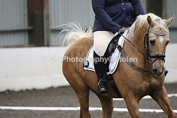SIAL5495 - CAbin Dressage 5th july 2025
