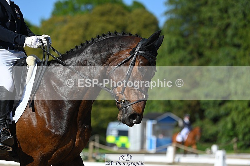 230526-171723-07557 - 262-TREAMBLE-Finn_Healy-WEDTrotUp+DR