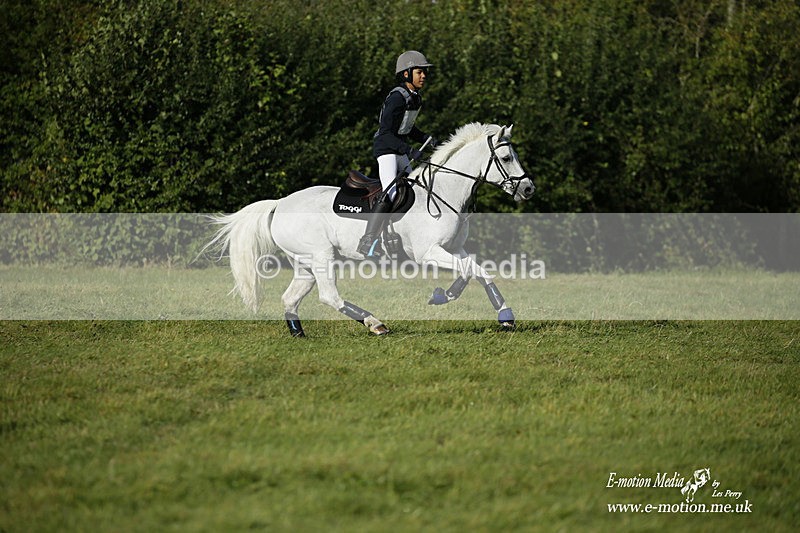  WWHT 031021 440 - WWEC Novice Restricted (0.80m) 18/10/20