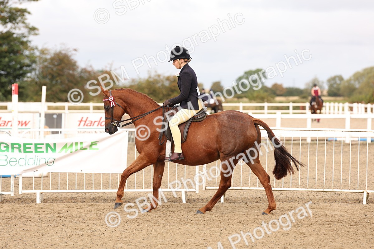 SBM_01565 - Class 52 - Ridden Veteran