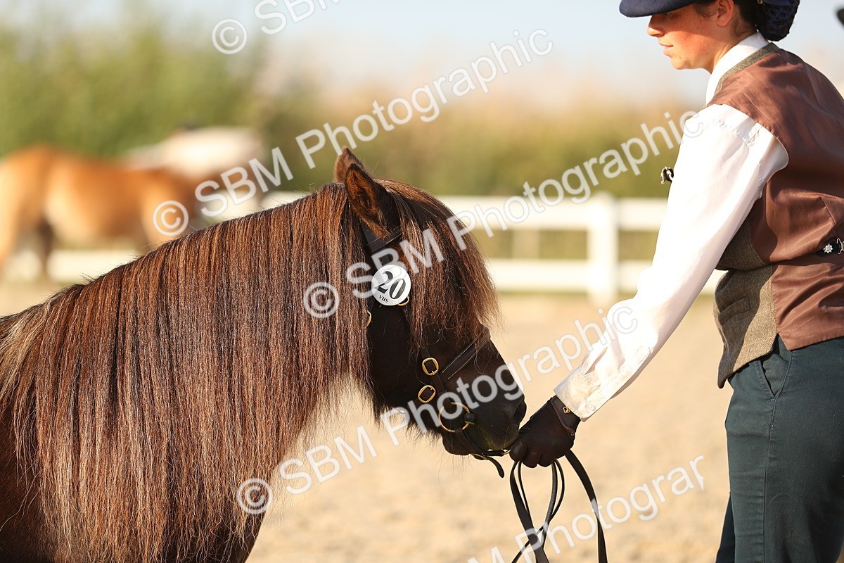 SBM_09054 - Class 29 IH Veteran Pony