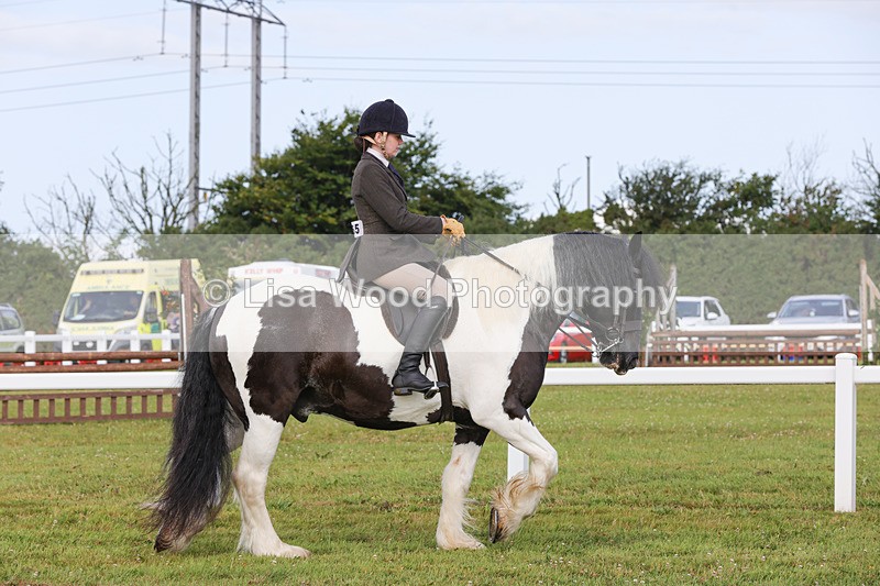 1X9A3111 - Class 27:  Ridden Native/Trad Coloured Horse