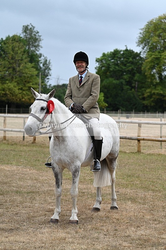 WJ7_0975 - Class 7 Riding Club Show Horse