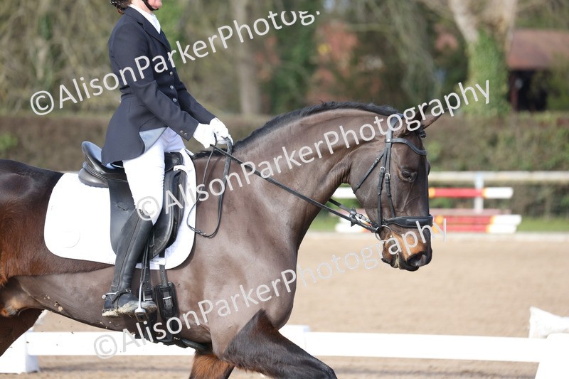 20260128-0396 - Class 4 - Novice 5