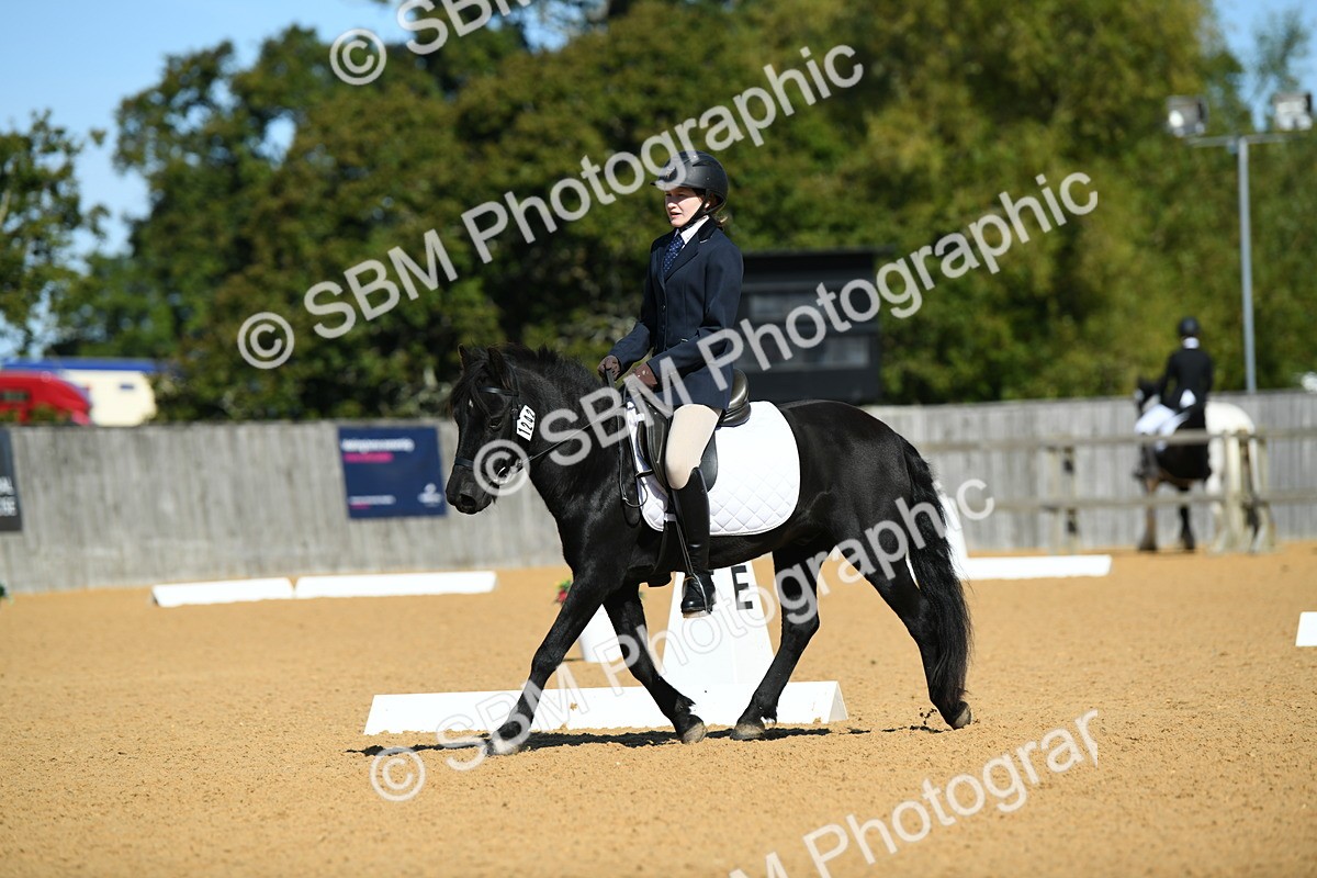 SBM_18177 - D4 - Small Tour Championship - Intro B