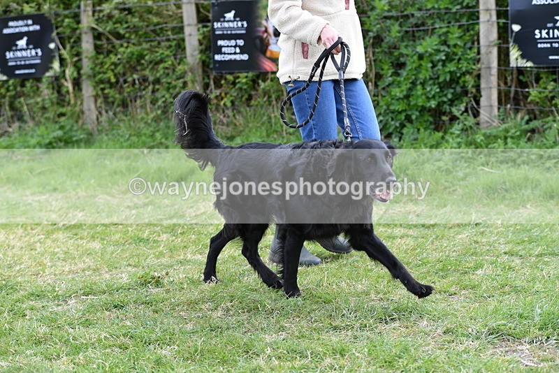 WJ5_0078 - Class 5 Best Veteran / 7 years & over