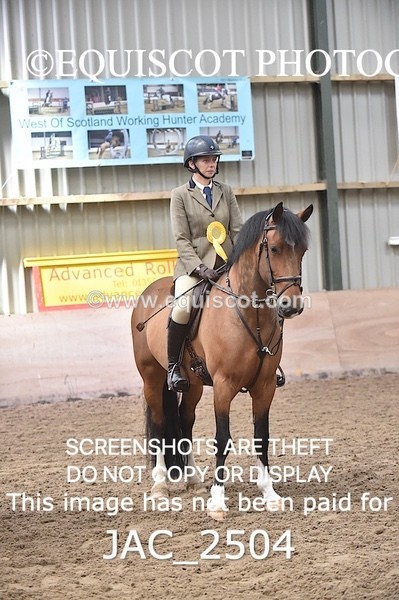 JAC_2504 - CLASS 3 Intermediate Working Hunter