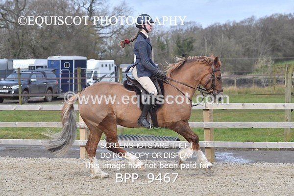 BPP_9467 - RING 2 - M&M