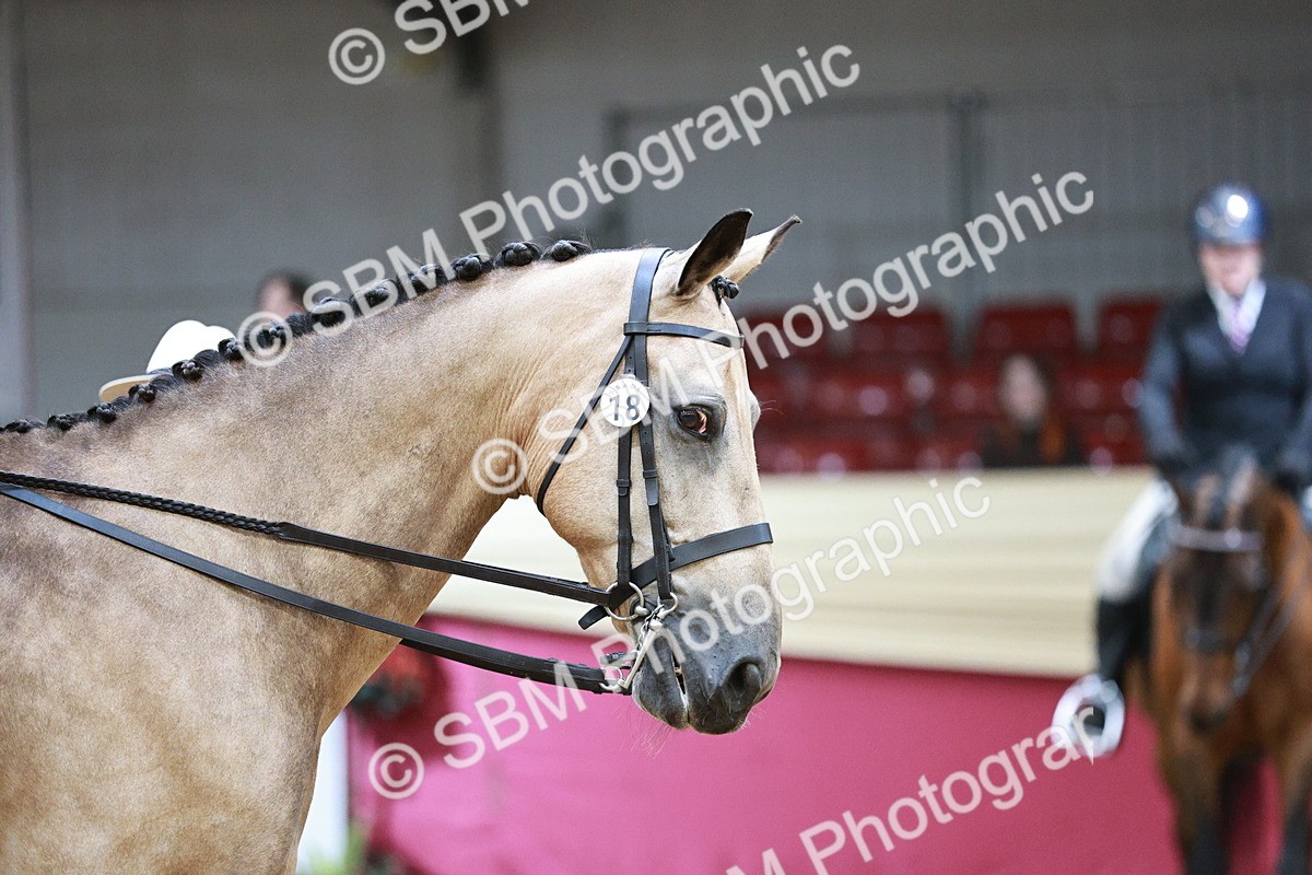 SBM_03431 - Class 6A Area Ridden Pre-Vet