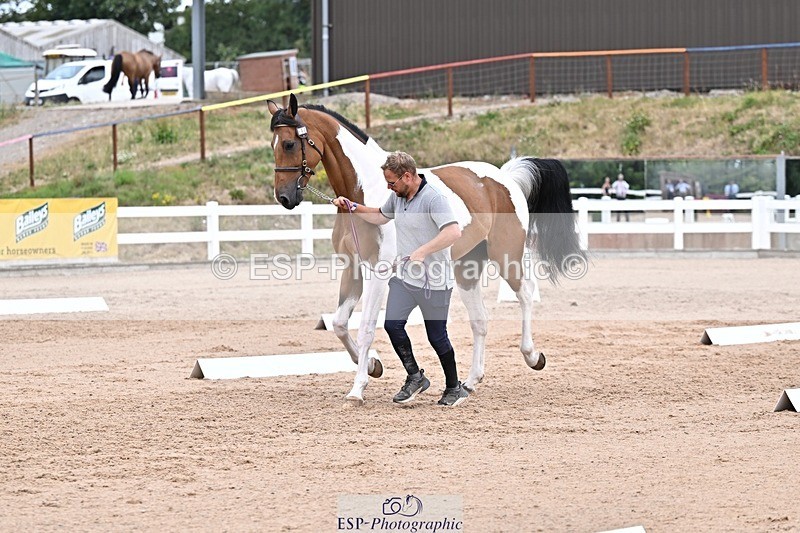 250716-134331-00659 - Trot Up 1.30 to 2.30