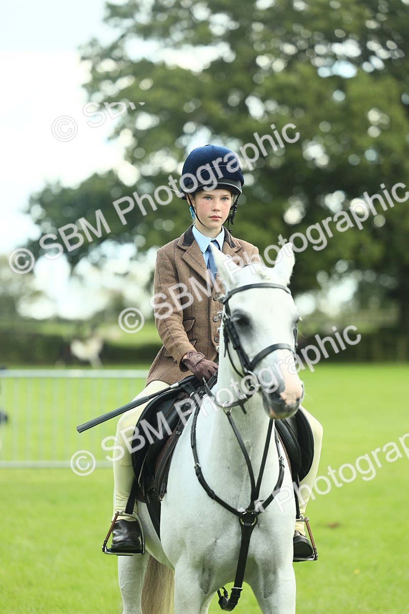 SBM_42205 - S29 - Novice & Newcomers Working Hunter Pony