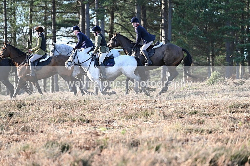 WJ7_7056 - Line 3 (no line 4 or 5)