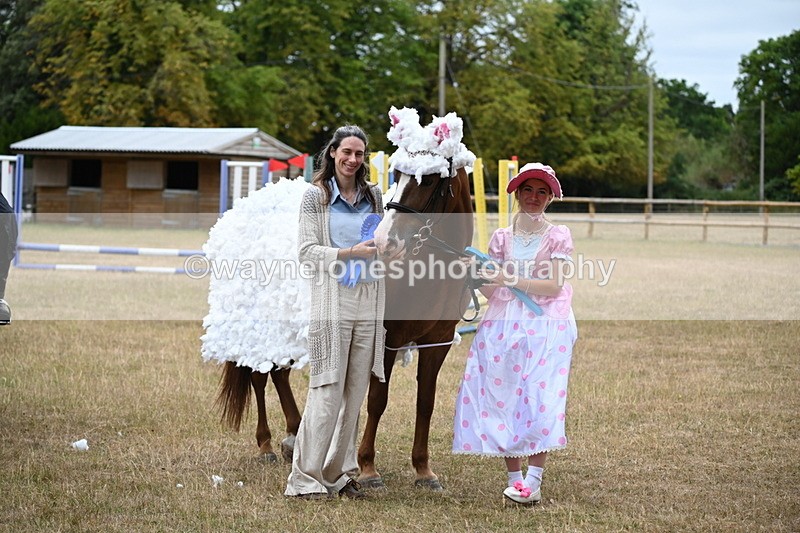 WJ6_9003 - Class 11 Fancy Dress