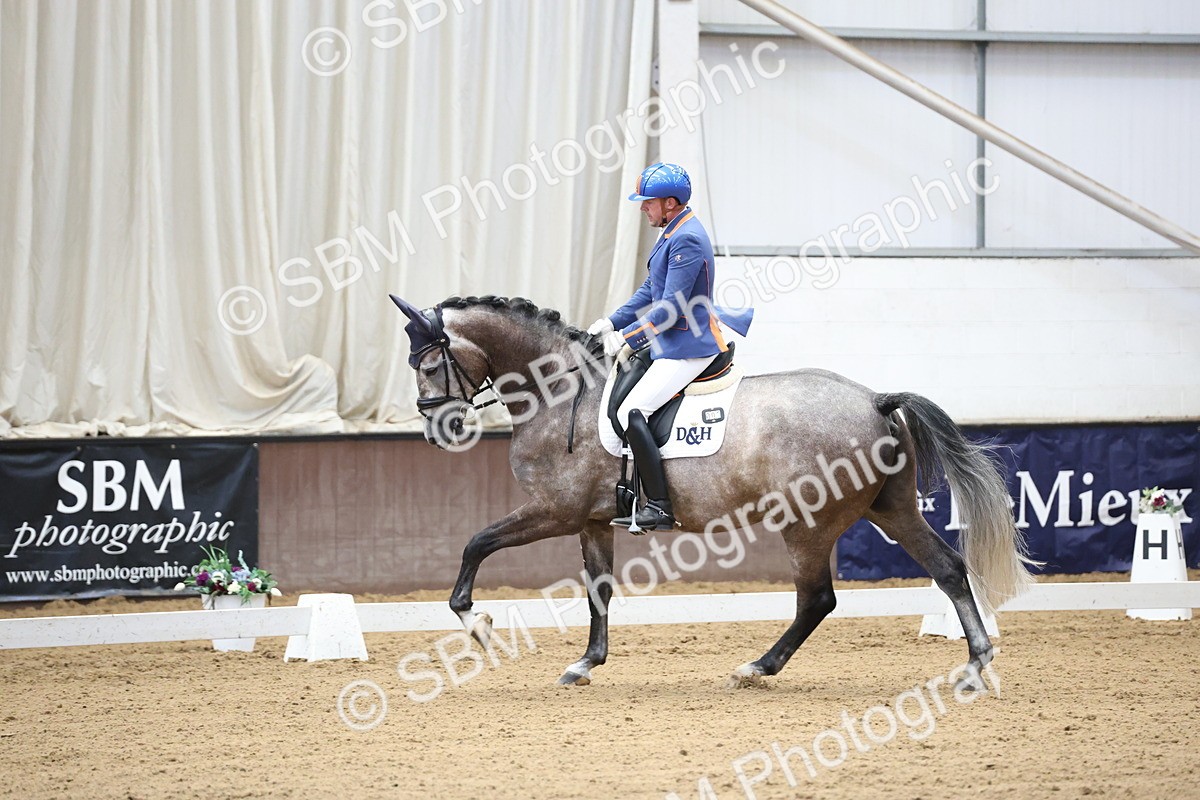 SBM_002095 - Class 5 - Novice 6 Gold - 9.00-10.10