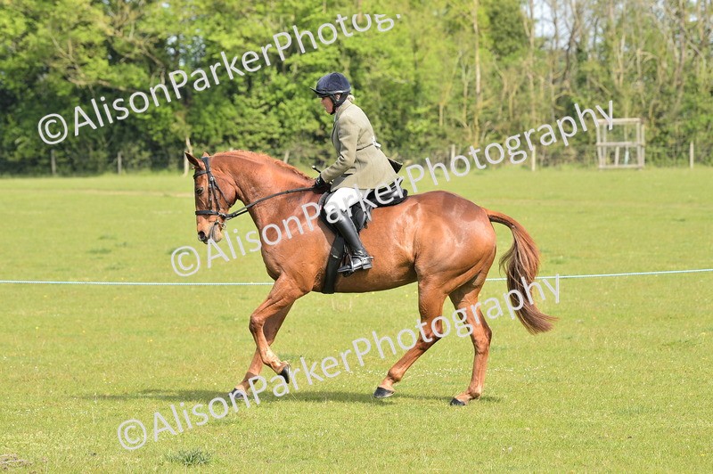 20260426-1135 - Class 19 - Retraining Of Racehorses