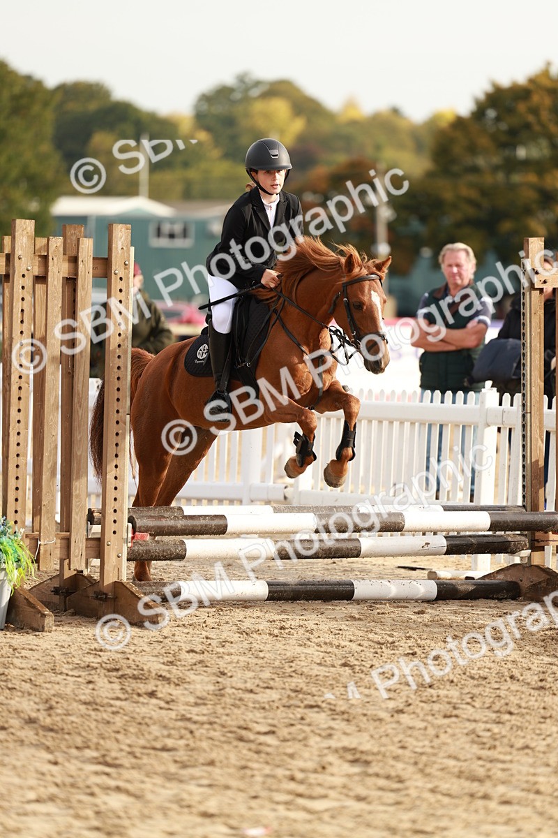 SBM_55682 - J11 - Junior Pony 50cm Championship