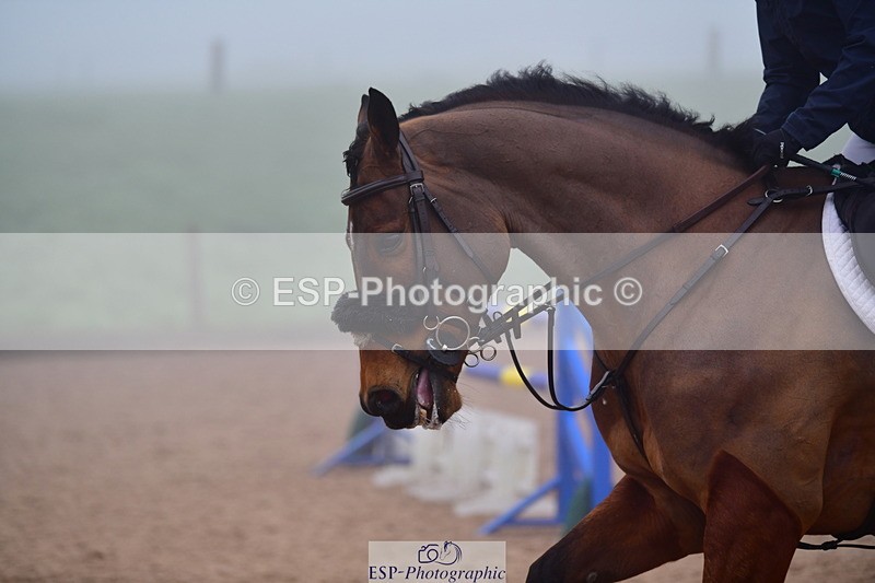 240214A-133832-00672 - Cls 4 Newcomers and 1.10m Open