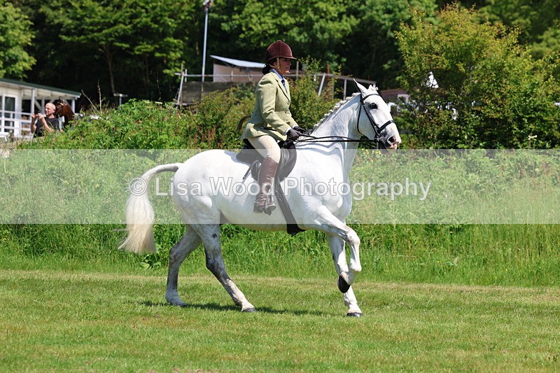 3E7A8275 - Class 13: Ridden Hunter