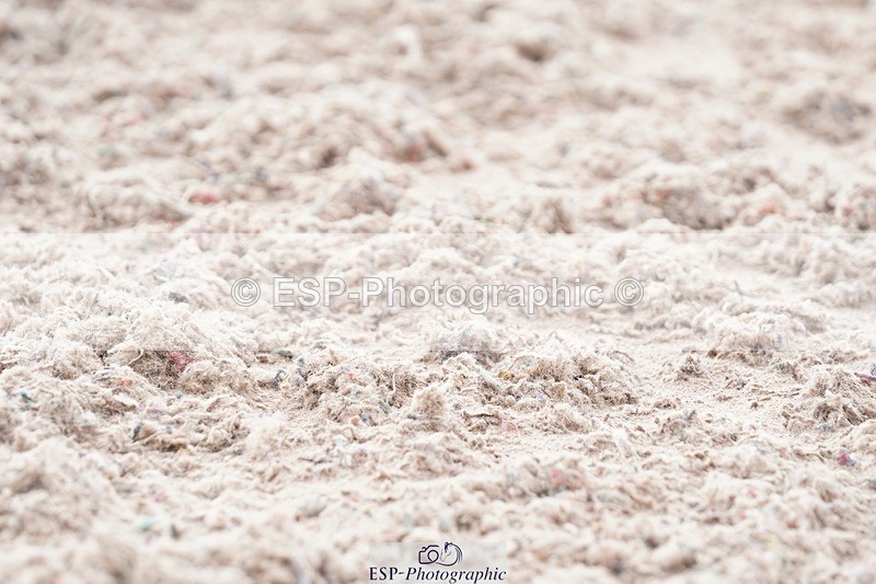 250322-130342-00433 - DR Elementary 2 Test