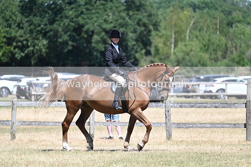 WJ7_2997 - Class 7 Riding Club Show Horse