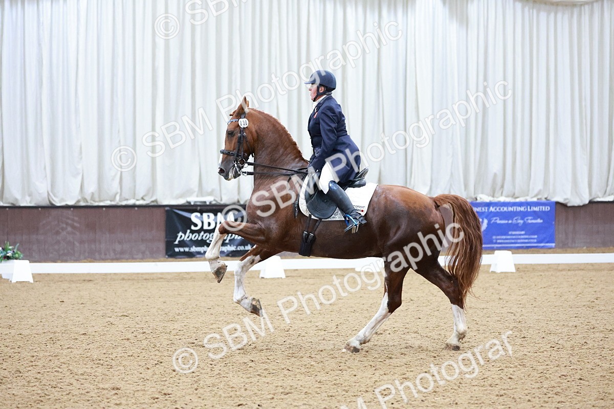 SBM_021267 - Class 14 - FEI Grand Prix - 17.40-18.34